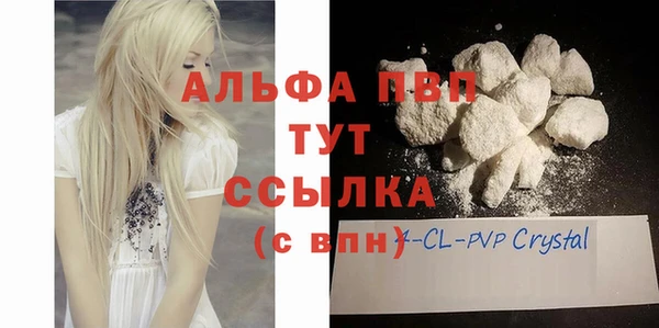 винт Абаза