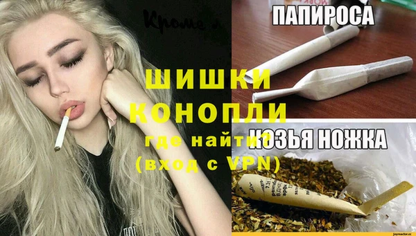 винт Абаза