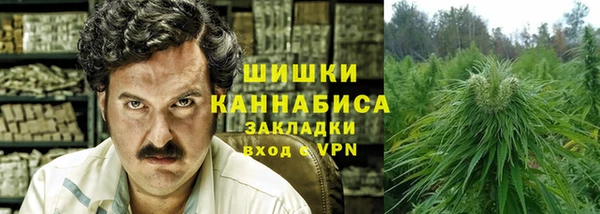 винт Абаза
