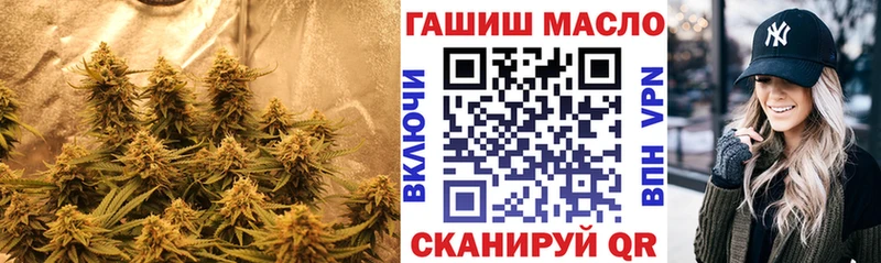 гидра ссылки  Кедровый  ТГК гашишное масло  наркошоп 