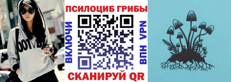 Псилоцибиновые грибы Psilocybe  Кедровый 